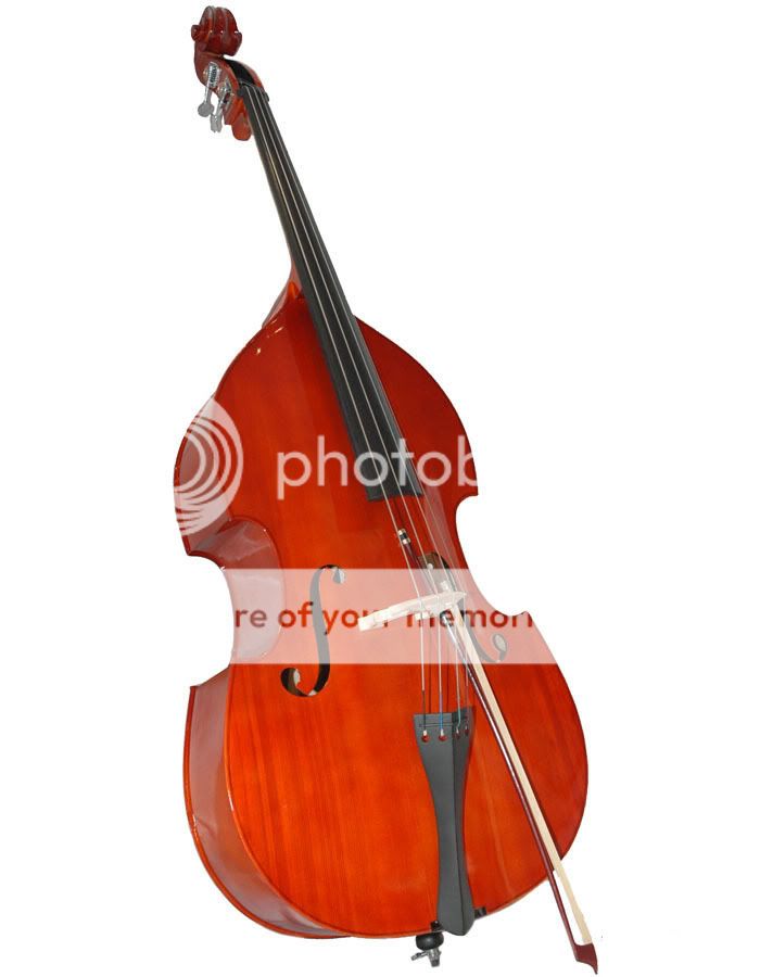 Bass Guitar Place Difference between Double Bass and Bass Guitar